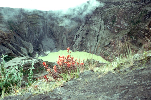 Le volcan Irazu est le plus haut du Costa Rica (3432m). Dernière éruption importante en 1963. Les cendres projetées participent à la fertilité des sols. Son activité est actuellement fumerollienne, son cratère est envahi par un lac.
<BR>
<A HREF='https://phototheque.enseigne.ac-lyon.fr/photossql/GoogleEarth/irazu.kmz'>
<IMG SRC='googleearth.gif' BORDER=0>
</A>