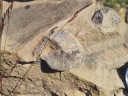 Palagonite, brèches volcanique basaltiques formées de cendres et blocs soudés. <a href='http://svt.enseigne.ac-lyon.fr/spip/spip.php?article173' target='_blank'>Page liée</a>. [10728 views]