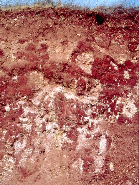 Paléosol rubéfié à kaolinite de type fersiallitique. Formation se réalisant  sous un climat de type tropical ou de type méditerranéen.