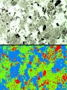 En haut : lame épaisse de granite, en lumière naturelle. Les trois minéraux principaux visibles sont en blanc ou vert clair, le quartz, en vert foncé, les feldspaths, en noir, les micas. L'image du bas montre le résultat obtenu après traitement avec le logiciel "Mesurim" : elle donne une valeur d'environ 43 % de feldspaths (vert), 40 % de quartz (bleu) et 14 % de micas (rouge). [32376 views]