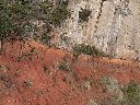 Orgues basaltiques issues d'une coulée qui a provoqué l'oxydation du socle granitique, près de Royat. [27496 views]