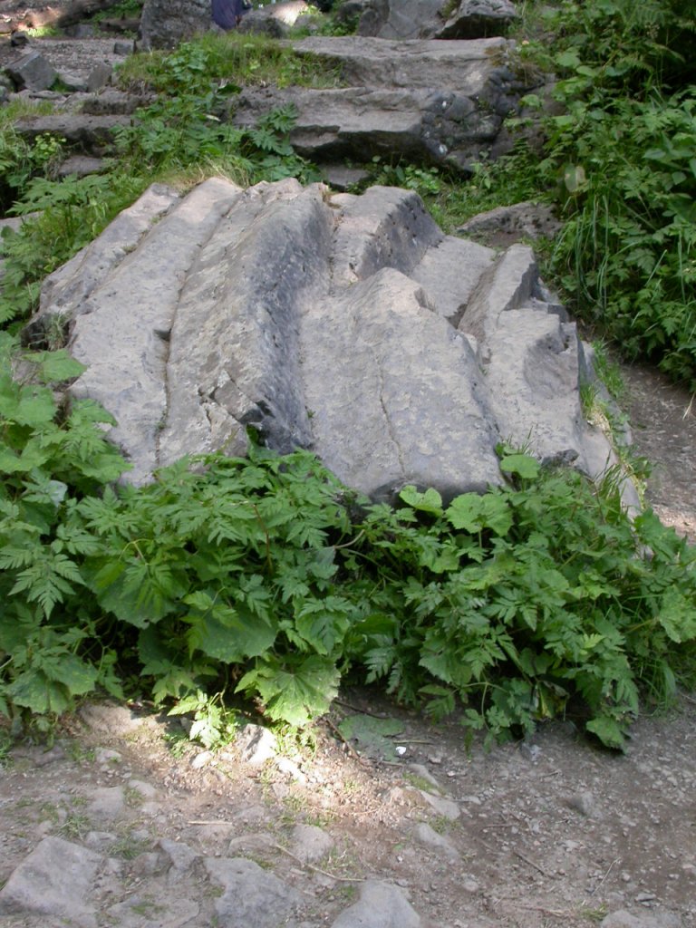 Orgues basaltiques renversés au pied de la cascade de Queureuilh près du Mont Dore (diamètre 20 cm environ).