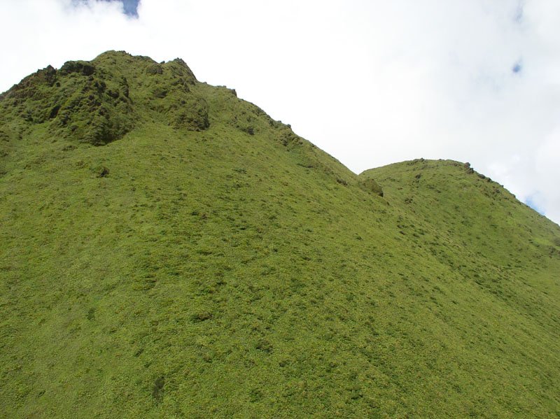 La montagne Pelée, Le sommet est constitué de deux dômes, celui de   gauche s'est mis en place après les éruptions de 1929-1932. Il culmine   à 1397 m. Celui de droite s'est constitué pendant les éruptions de   1902-1903. Volcanisme de subduction.
<BR>
<A HREF='https://phototheque.enseigne.ac-lyon.fr/photossql/GoogleEarth/pelee2.kmz'>
<IMG SRC='googleearth.gif' BORDER=0>
</A>