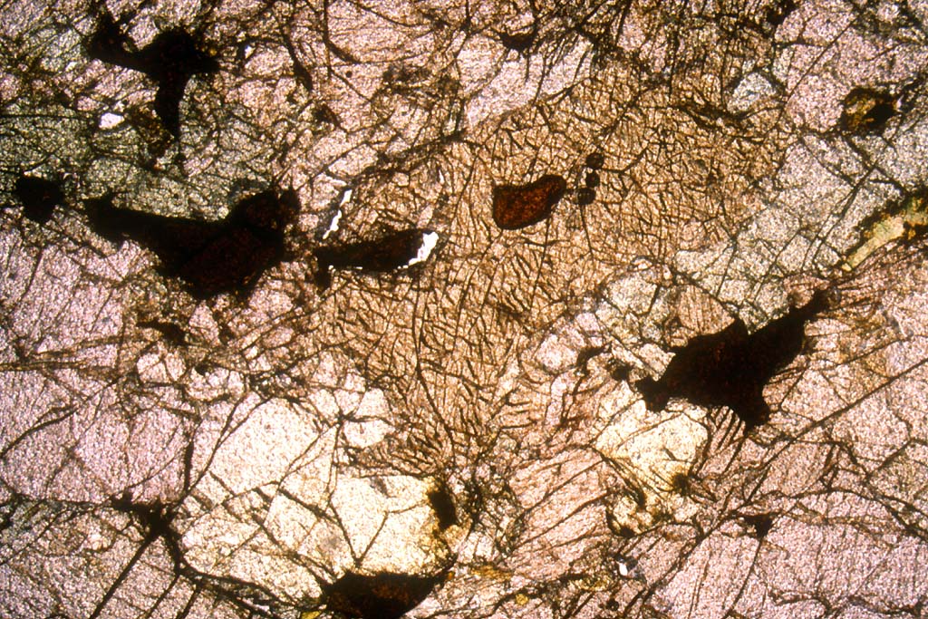 Péridotite : vue en LPNA - gros pyroxène au milieu, péridots autour   (olivine), cristaux de spinelle faisant des taches foncées.