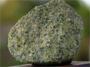 Échantillon de péridotite (5,5 x 7,5 cm environ) mettant en évidence la texture grenue de la roche. La péridotite est une roche constituée principalement de cristaux d'olivine (couleur vert olive) et de pyroxènes. Elle constitue la majeure partie du manteau terrestre. On parle de texture grenue quand sur un macro échantillon, tous les minéraux sont visibles à l'œil nu. En lame mince, les minéraux sont de grande taille et sont en contact étroit les uns avec les autres ; ainsi on ne distingue pas de matrice entre les minéraux.
 [7976 views]