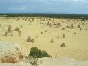 250 km au Nord de Perth, le désert des pinnacles est ponctué de colonnes de grès de quelques cm à quelques mètres de hauteur. [27553 views]