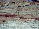 Faille normale dans des dépôts argilo - sableux du tertiaire. [12712 views]