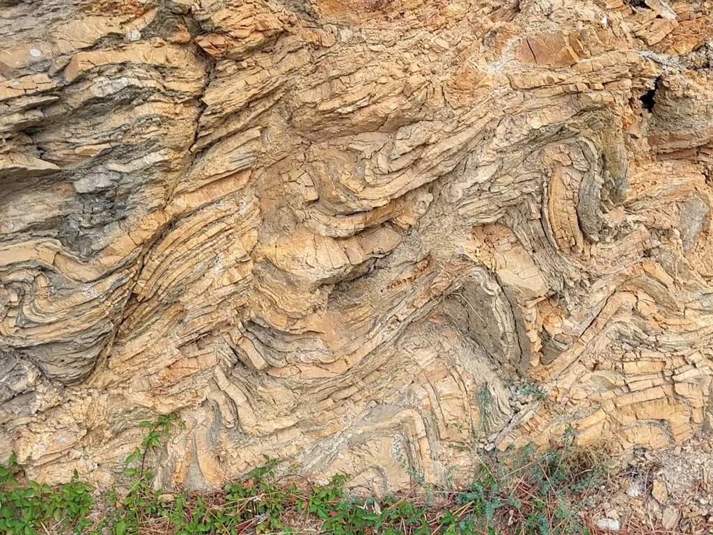 Plis dans des calcaires et des calcschistes du Jurassique inférieur à moyen. Les calcschistes grisâtres sont formés de plaquettes de calcaire argileux ou gréseux, se débitant en « feuillets rocheux » (schistosité). Les bancs de calcaires, jaune-orangés, marquent bien les plis qui traduisent un raccourcissement horizontal. Photo 1 – <a href='https://phototheque.enseigne.ac-lyon.fr/photossql/photos.php?RollID=images&FrameID= plis_calcaires_calcschistes2'>Photo 2</a>