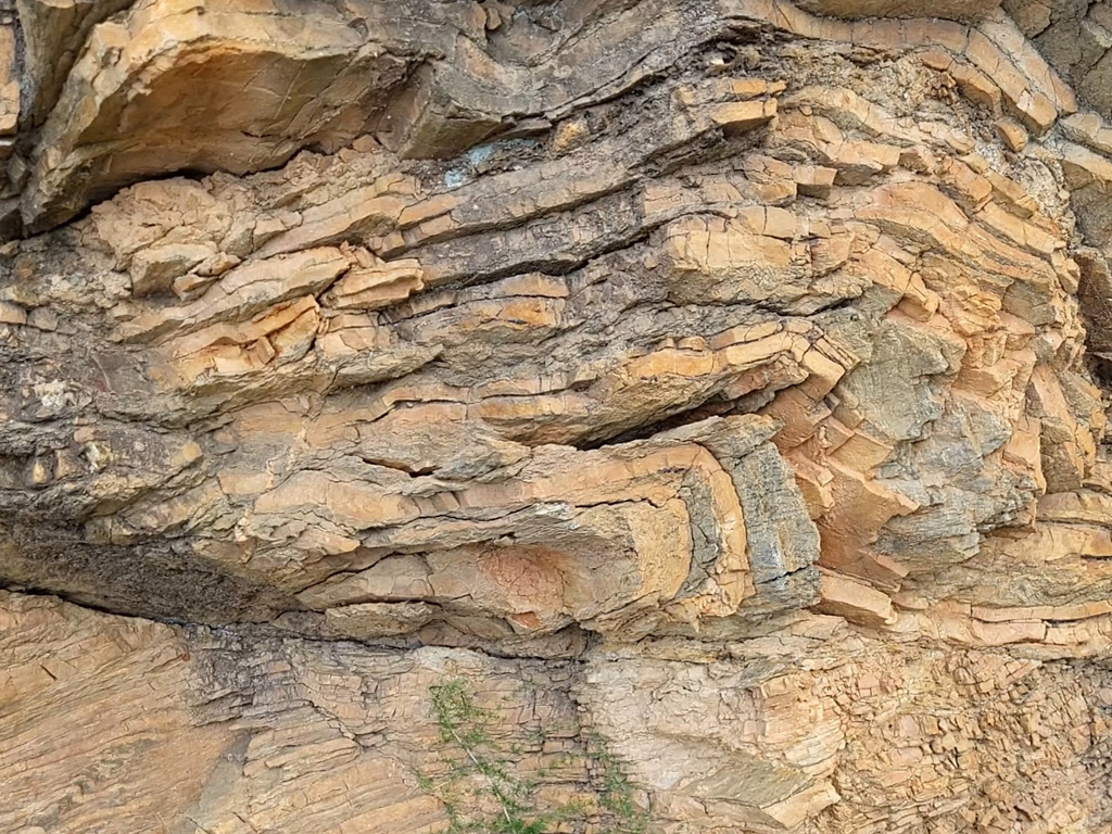 Pli et faille dans des calcaires et des calcschistes du Jurassique inférieur à moyen. Les calcschistes grisâtres sont formés de plaquettes de calcaire argileux ou gréseux, se débitant en « feuillets rocheux » (schistosité). Les bancs de calcaires, jaune-orangés, marquent bien les plis qui traduisent un raccourcissement horizontal. <a href='https://phototheque.enseigne.ac-lyon.fr/photossql/photos.php?RollID=images&FrameID= plis_calcaires_calcschistes1
'>Photo 1</a> – Photo 2
