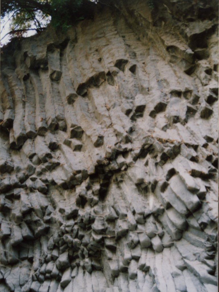 Prismes de lave dans les gorges d'Alcantara. Ils appartiennent à une coulée du Monte Mojo (petit cône au nord de l'Etna) qui serait âgée de 8000 ans.
<BR>
<A HREF='https://phototheque.enseigne.ac-lyon.fr/photossql/GoogleEarth/prismes_alcantara.kmz'>
<IMG SRC='googleearth.gif' BORDER=0>
</A>