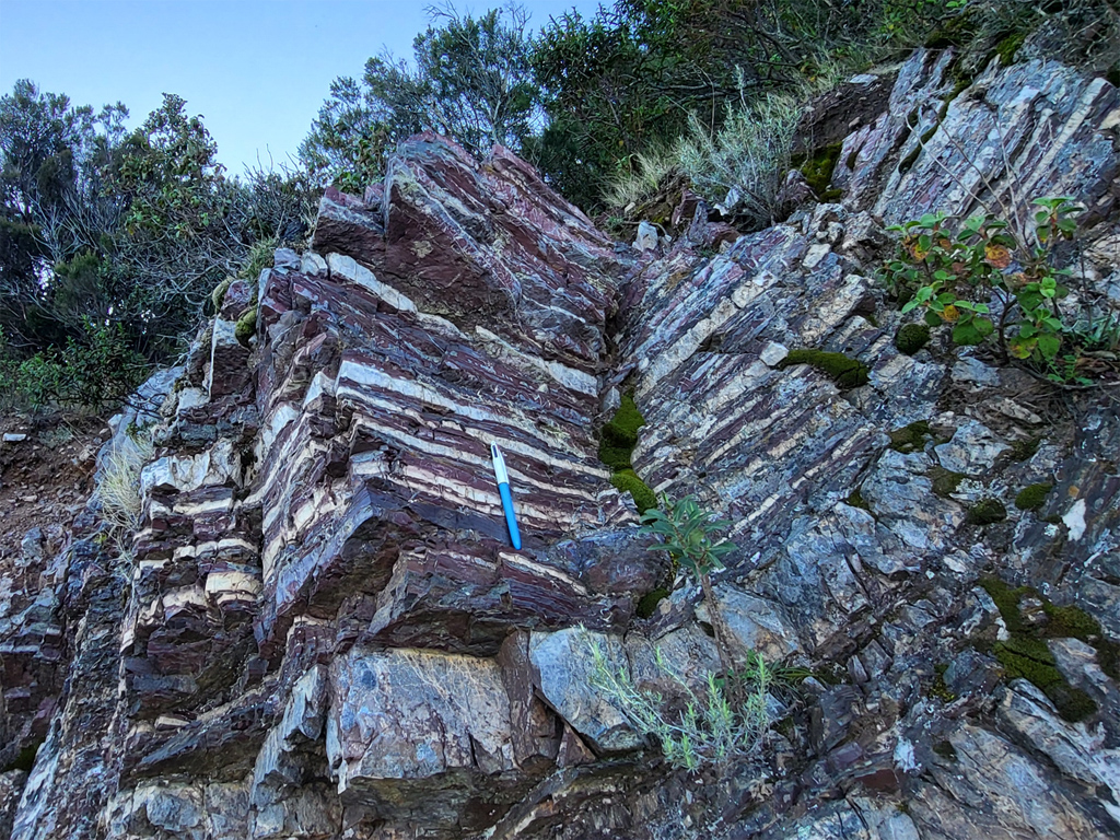 Radiolarites de la nappe ohiolitique de Balagne (Jurassique moyen - supérieur). La radiolarite est une roche composée essentiellement de coques siliceuses de radiolaire, un protozoaire planctonique actinopode. La couleur rouge est due à la présence de fer ferrique Fe<sup>3+</sup>. Parfois le fer est sous forme ferreuse Fe<sup>2+</sup>, ce qui donne à la roche une couleur verte. Lorsque les éléments du plancton meurent, les tests calcaires et siliceux coulent lentement vers le fond. En dessous de 4 500 m de profondeur (CCD, ou seuil de compensation des carbonates), les tests calcaires se dissolvent car la solubilité du carbonate de calcium est augmentée par le refroidissement de l’eau. Il ne reste que les tests siliceux. Ils y forment une vase de radiolaires qui par diagénèse donne la radiolarite.