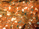 La rhyolite est une roche volcanique rouge ou grise issue d'une lave visqueuse conférant au volcan un caractère explosif.   La macrophotographie (échelle x2) montre distinctement des macro-cristaux isolés de quartz (gris transparents, luisants), de feldspath blanc et de mica noir (biotite). Ces cristaux sont noyés dans une pâte rouge d'apparence non cristallisée. Au microscope, cette pâte montrerait de nombreux microcristaux en forme de baguette, les microlithes. [7872 views]