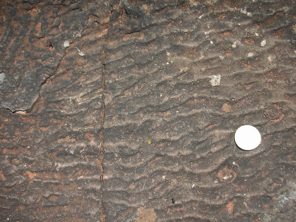 Rides de courants ou "ripple marks" fossiles de la dalle de la Lieude (Permien). La pièce de 20 centimes d'euro donne l'échelle. La direction des crètes est perpendiculaire au mouvement de l'eau.