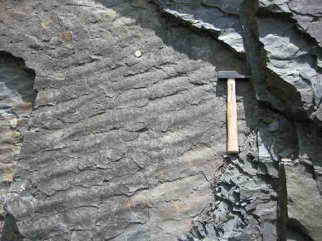 Quartzite (grès métamorphisé) à ripple-marks : pendage des couches orienté vers le Nord (pli anticlinal). Formations sédimentaires marines du Dévonien (ère primaire), plissées et métamorphisées au cours de l'orogenèse hercynienne (carbonifère).