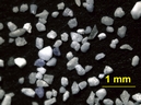 Sable de plage, à grain fin (<< au mm) formé essentiellement de grains de quartz.<br />    Photographie réalisée avec une caméra numérique sur l'oculaire d'une loupe. [6685 views]