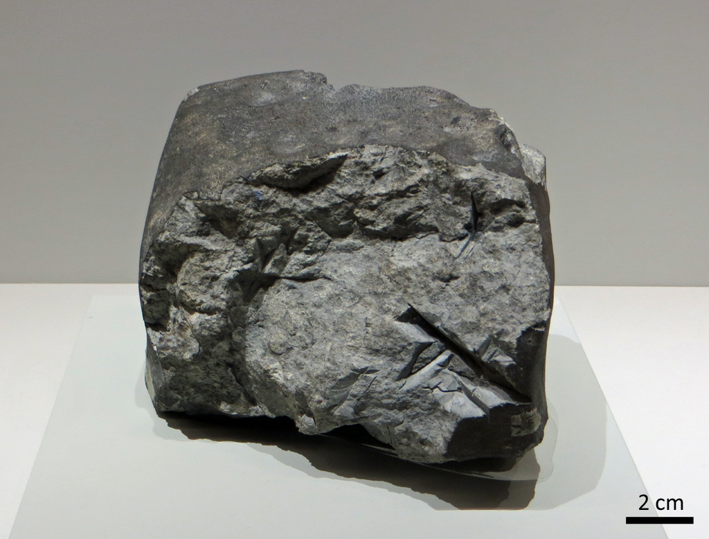 Saint-Mesmin, chondrite ordinaire tombée en 1866 en France. Les chondrites ordinaires sont les météorites les plus abondantes : elles représentent plus de 78% des chutes. Elles proviennent d'astéroïdes non différenciés situés dans la partie interne de la ceinture d'astéroïdes. Elles contiennent une grande proportion de chondres et peu de matrice.