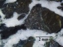 Schiste bleu (détail). <br />Les minéraux brun-bronze sont du pyroxène. Le plagioclase est blanc. On distingue ici (au centre de l'image) la transition entre le pyroxène et le produit de sa transformation, la glaucophane noire. Cette roche est un métagabbro issu de la transformation du gabbro océanique ne comportant que plagioclase et pyroxène.   <a href='http://svt.enseigne.ac-lyon.fr/spip/spip.php?article169' target='_blank'>Page liée</a>.
<br /><br />   Cette photographie est proposée dans le cadre d'une évaluation de la quantité d'eau contenue dans la roche (depuis le gabbro de dorsale jusqu'à l'éclogite) par l'utilisation du logiciel Mesurim. <a href='http://svt.enseigne.ac-lyon.fr/spip/spip.php?article392'>Lien avec le dossier pédagogique</a>.<br /><br /> 

  Mots clefs : schiste bleu - métagabbro - gabbro - glaucophane - pyroxène - plagioclase
 [17365 views]