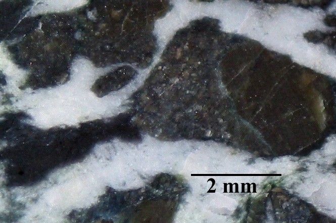 Schiste bleu (détail). <br />Les minéraux brun-bronze sont du pyroxène. Le plagioclase est blanc. On distingue ici (au centre de l'image) la transition entre le pyroxène et le produit de sa transformation, la glaucophane noire. Cette roche est un métagabbro issu de la transformation du gabbro océanique ne comportant que plagioclase et pyroxène.   <a href='http://svt.enseigne.ac-lyon.fr/spip/spip.php?article169' target='_blank'>Page liée</a>.
<br /><br />   Cette photographie est proposée dans le cadre d'une évaluation de la quantité d'eau contenue dans la roche (depuis le gabbro de dorsale jusqu'à l'éclogite) par l'utilisation du logiciel Mesurim. <a href='http://svt.enseigne.ac-lyon.fr/spip/spip.php?article392'>Lien avec le dossier pédagogique</a>.<br /><br /> 

  Mots clefs : schiste bleu - métagabbro - gabbro - glaucophane - pyroxène - plagioclase
