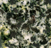 Gabbro océanique altéré. <br />   Cette roche est un gabbro en début d'altération (métagabbro) dans la lithosphère océanique. Elle contient en plus des minéraux caractéristiques du gabbro, les plagioclase et pyroxène (augite), des traces de chlorite. Cette altération provient de la circulation d'eau dans la lithosphère au fur et à mesure qu'elle s'éloigne de la dorsale.   Le plagioclase est blanc, le pyroxène est gris-bronze. La chlorite est vert-jaunâtre. <br /> Cette roche appartient au faciès « schiste vert » du métamorphisme et provient de la transformation d'un gabbro.  <br /><br />  Cette photographie est proposée dans le cadre d'une évaluation de la quantité d'eau contenue dans la roche (depuis le gabbro de dorsale jusqu'à l'éclogite) par l'utilisation du logiciel Mesurim.  <a href='http://svt.enseigne.ac-lyon.fr/spip/spip.php?article392'>Lien avec le dossier pédagogique</a>.<br /><br />    Mots clefs : métagabbro - schiste vert - mesurim - lithosphère - dorsale - pyroxène -  plagioclase - chlorite [16873 views]