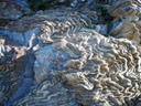 Schistes métamorphiques plissés du Pic du Midi de Bigorre. [22569 views]