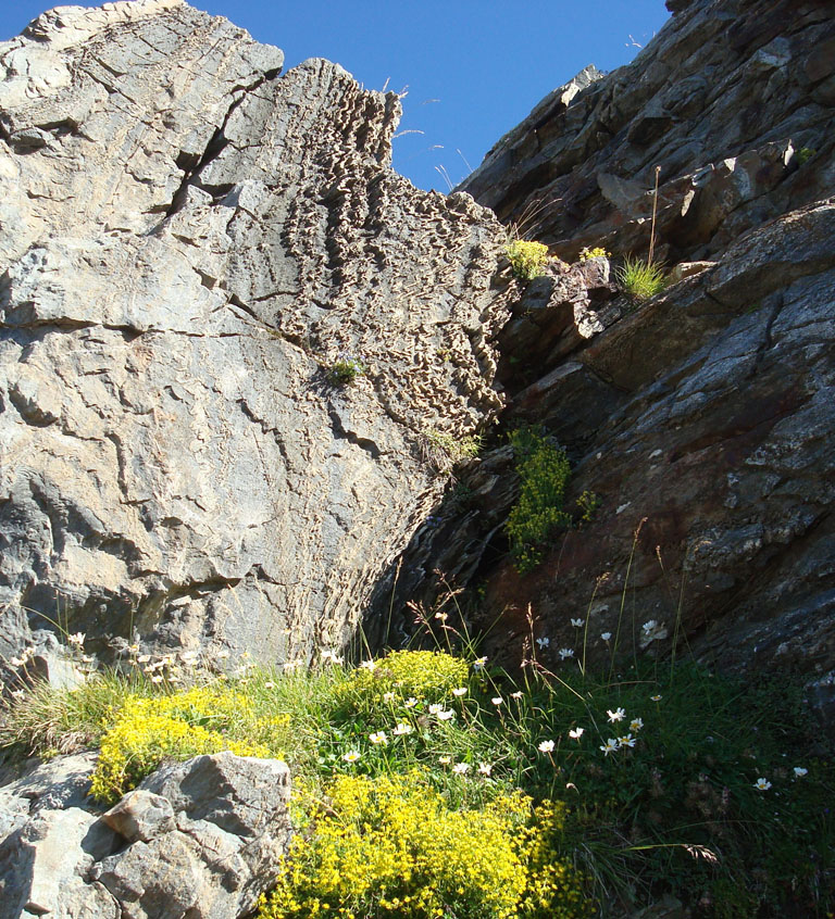 Schistes métamorphiques plissés du Pic du Midi de Bigorre.
