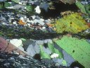 Sur cette photo, on peut observer une schistosité, et des gros minéraux (dont des micas verdâtres) qui se sont formés dans des fentes de tension. [10938 views]