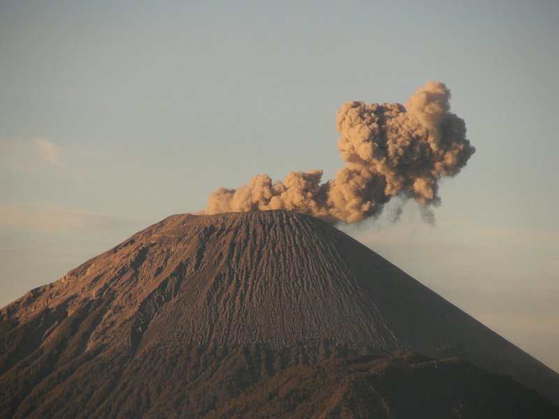 Une des régulières explosions du Semeru : ce volcan émet en effet un  panache de cendres environ toutes les 20 minutes.  <BR>
<A HREF='https://phototheque.enseigne.ac-lyon.fr/photossql/GoogleEarth/semeru_panache.kmz'>  <IMG SRC='googleearth.gif' BORDER=0> </A>
