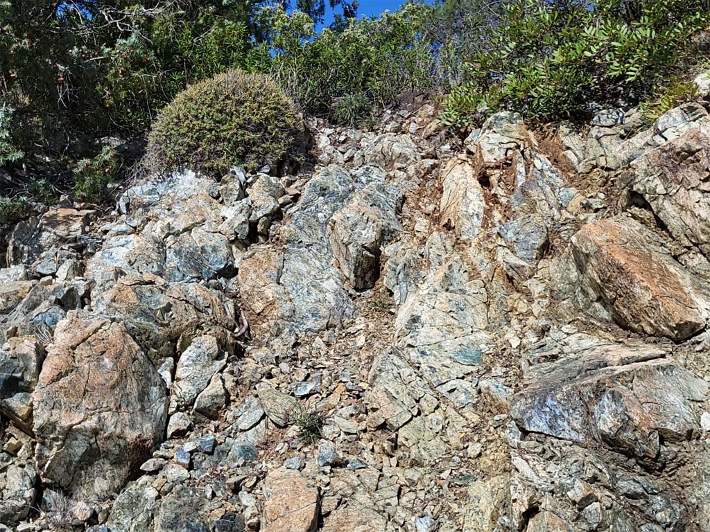 Affleurement de serpentinite. Il s’agit de phyllosilicates résultant de l’hydratation des olivines (et accessoirement des pyroxènes) des péridotites. Ce sont donc les produits du métamorphisme du manteau. Les formes les plus courantes de serpentinites sont vertes à blanches ou jaunâtre, avec souvent des reflets bleutés. Elles tirent leur nom de leur aspect semblable à celui d'écailles et une sensation particulière au toucher, qui peut évoquer la peau d'un serpent. Ces roches se trouvent généralement dans des chaines de montagnes, anciennes ou récentes, qui ont amené à proximité de la surface des parties du manteau terrestre.<br/>
<a href='https://phototheque.enseigne.ac-lyon.fr/photossql/photos.php?RollID=images&FrameID=serpentinite_gavignano1'>Vue d’ensemble de l’affleurement</a> – <a href='https://phototheque.enseigne.ac-lyon.fr/photossql/photos.php?RollID=images&FrameID=serpentinite_gavignano2'> Vue rapprochée 1</a> – <a href='https://phototheque.enseigne.ac-lyon.fr/photossql/photos.php?RollID=images&FrameID=serpentinite_gavignano3'> Vue rapprochée 2</a> – <a href='https://phototheque.enseigne.ac-lyon.fr/photossql/photos.php?RollID=images&FrameID=serpentinite_gavignano4'> Échantillon 1</a> – <a href='https://phototheque.enseigne.ac-lyon.fr/photossql/photos.php?RollID=images&FrameID=serpentinite_gavignano5'> Échantillon 2</a>

