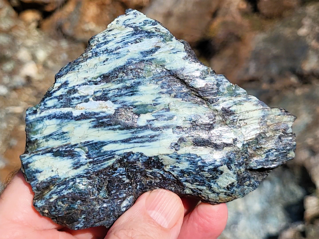 Affleurement de serpentinite. Il s’agit de phyllosilicates résultant de l’hydratation des olivines (et accessoirement des pyroxènes) des péridotites. Ce sont donc les produits du métamorphisme du manteau. Les formes les plus courantes de serpentinites sont vertes à blanches ou jaunâtre, avec souvent des reflets bleutés. Elles tirent leur nom de leur aspect semblable à celui d'écailles et une sensation particulière au toucher, qui peut évoquer la peau d'un serpent. Ces roches se trouvent généralement dans des chaines de montagnes, anciennes ou récentes, qui ont amené à proximité de la surface des parties du manteau terrestre.<br />
<a href= 'https://phototheque.enseigne.ac-lyon.fr/photossql/photos.php?RollID=images&FrameID=serpentinite_gavignano1'>Vue d’ensemble de l’affleurement</a> – <a href='https://phototheque.enseigne.ac-lyon.fr/photossql/photos.php?RollID=images&FrameID=serpentinite_gavignano2'> Vue rapprochée 1</a> – <a href='https://phototheque.enseigne.ac-lyon.fr/photossql/photos.php?RollID=images&FrameID=serpentinite_gavignano3'> Vue rapprochée 2</a> – <a href='https://phototheque.enseigne.ac-lyon.fr/photossql/photos.php?RollID=images&FrameID=serpentinite_gavignano4'> Échantillon 1</a> – Échantillon 2
