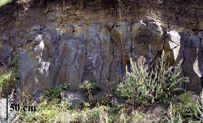 Sill de basalte intercalé entre deux niveaux argileux d'argiles et de sables du Villafranchien. Cette photographie montre le basalte sous les argiles rubéfiées (rougies) par la chaleur de la lave intrusive.  Mots clefs : sill - basalte - filon - datation - volcanisme.
<a href='http://svt.enseigne.ac-lyon.fr/spip/spip.php?article153' TARGET='_blank'>Page liée</a>