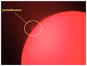 Protubérance solaire. La taille de la protubérance correspond environ à 7 fois le diamètre terrestre. [9407 views]
