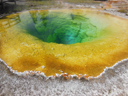 Les sources chaudes du parc de Yellowstone aux États-Unis abritent une grande diversité de bactéries et d'archées. Des prélèvements réalisés de la surface vers la profondeur ont permis d'identifier et de quantifier les populations par PCR des gènes de l'ARNr 16S : les rapports Bactéries/Archées vont de 4037:1 (eau de surface) à 25:1 (eau de l'évent). La répartition des microorganismes de la surface vers la profondeur semble dépendre, avec le pH, des gradients de concentration des principaux constituants géochimiques associés aux évents, notamment le CH<sub>4</sub>, le CO<sub>2</sub>, le H<sub>2</sub>, le carbone inorganique dissous, le carbone organique dissous, le SO<sub>4</sub><sup>2-</sup>, l'O<sub>2</sub> et les métaux.
 [3972 views]