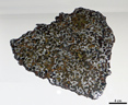 Springwater, météorite mixte (pallasite) trouvée en 1931 au Canada. Les pallasites ne sont pas seulement de jolis spécimens. Constituées d'un assemblage de métal et d'olivine, elles résultent de l'impact entre un astéroïde métallique et le fragment du manteau d'un autre gros astéroïde. Ce sont les rares échantillons de manteau d'astéroïde dont nous disposons. [5998 views]