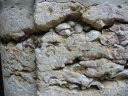 Quartier de Saint Jean : calcaire à Gryphées [29252 views]