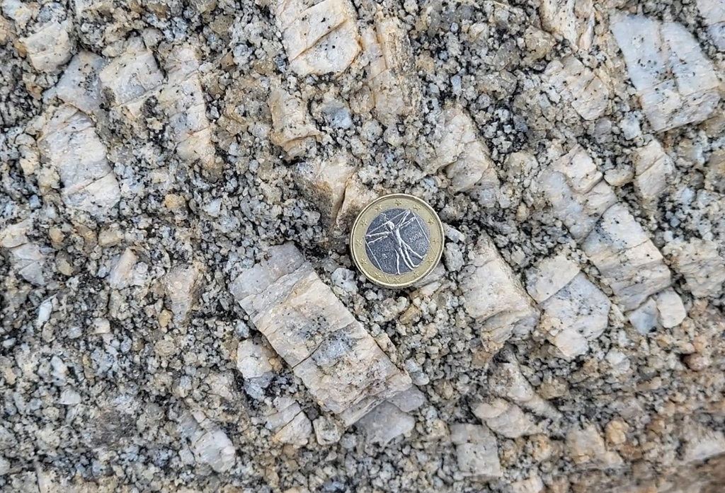Sur la presqu’île d’Omigna, en particulier sous la tour génoise, les conditions d’affleurement sont propices à l’observation de syénomonzogranites à mégacristaux de feldspath potassique, dont la taille avoisine ici jusqu’à une dizaine de centimètres. La roche est très riche en feldspath potassique et en mica noir. Elle est pauvre en quartz, mais contient toutefois des feldspaths calco-sodiques. Ce n'est ni un vrai granite (il y a peu de quartz), ni une vraie syénite (il y a du quartz et les deux variétés de feldspaths). On lui donne un nom intermédiaire : syénogranite. On ajoute deux qualificatifs. Le premier porphyroïde est destiné à préciser que l'un des minéraux est beaucoup plus gros que les autres, le second monzo, signale la présence des deux catégories de feldspaths. Les roches sont datées du Carbonifère Viséen (346,7 – 330,3 Ma). Échantillon – <a href='https://phototheque.enseigne.ac-lyon.fr/photossql/photos.php?RollID=images&FrameID= syenogranite2'>affleurement</a> – <a href='https://phototheque.enseigne.ac-lyon.fr/photossql/photos.php?RollID=images&FrameID= syenogranite3'>paysage</a>.


