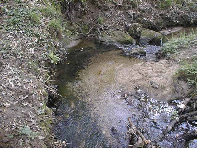 Le ruisseau de la Tamina dans le parc de Lacroix Laval (ouest lyonnais) possède de nombreux méandres le long desquels on peut bien observer les dépôts sableux.