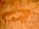 Peinture rupestre d'abri sous roche du site de Sefar dans le Tassili n'Ajjer. Période bovidienne. Datation controversée. [37384 views]