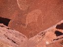 Gravures rupestes de Twyfelfontein en Namibie. Elles seraient datées de 6000 ans. [26835 views]