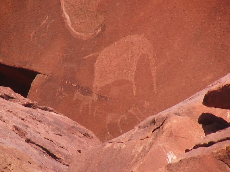 Gravures rupestes de Twyfelfontein en Namibie. Elles seraient datées de 6000 ans.