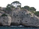 La calanque de Port-miou, calcaire à rudistes (hippurites) faciès Urgonien. Eboulis et végétation typique méditerranéenne (<em>Pinus halepensis</em>, <em>Rosmarinus officinalis</em>) [26726 views]