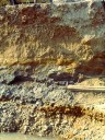 Affleurement dans une terrasse alluviale datant du quaternaire et dominant la Loire d'environ 15 m. Observation d'alluvions anciennes non consolidées  présentant une alternance de couches de sable fin, de couches plus ou moins  riches en argile et de couches constituées d'un mélange de galets et de sable.   Niveau de la nappe phréatique visible [13186 views]