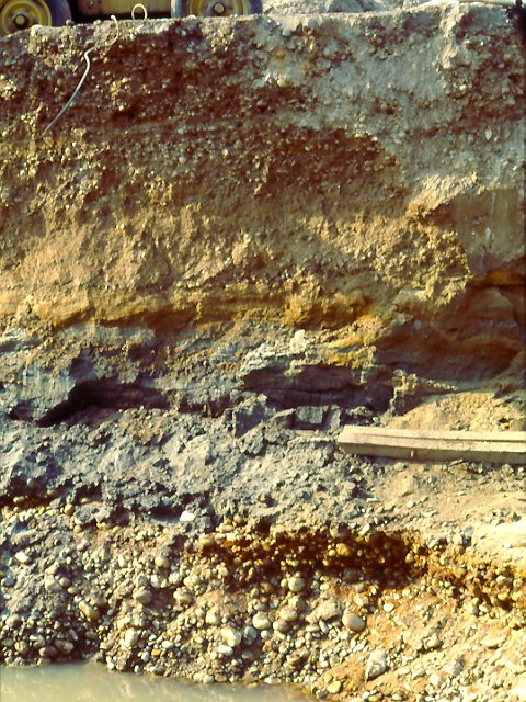 Affleurement dans une terrasse alluviale datant du quaternaire et dominant la Loire d'environ 15 m. Observation d'alluvions anciennes non consolidées  présentant une alternance de couches de sable fin, de couches plus ou moins  riches en argile et de couches constituées d'un mélange de galets et de sable.   Niveau de la nappe phréatique visible