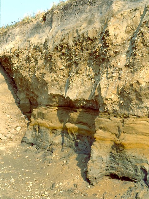 Affleurement dans une terrasse alluviale datant du quaternaire et dominant la Loire d'environ 15 m. Observation d'alluvions anciennes non consolidées présentant une alternance de couches de sable fin, de couches plus ou moins riches en argile et de couches constituées d'un mélange de galets et de sable.