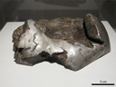 Zacatecas, météorite de fer trouvée en 1969 au Mexique. Avant que sa nature extraterrestre ait été reconnue en 1969, la météorite de Zacatecas a été utilisée comme enclume pendant des décennies. On peut voir sur ce spécimen des traces de martelage. [22179 views]